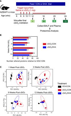 Silica Induction of Diverse Inflammatory Proteome in Lungs of Lupus-Prone Mice Quelled by Dietary Docosahexaenoic Acid Supplementation